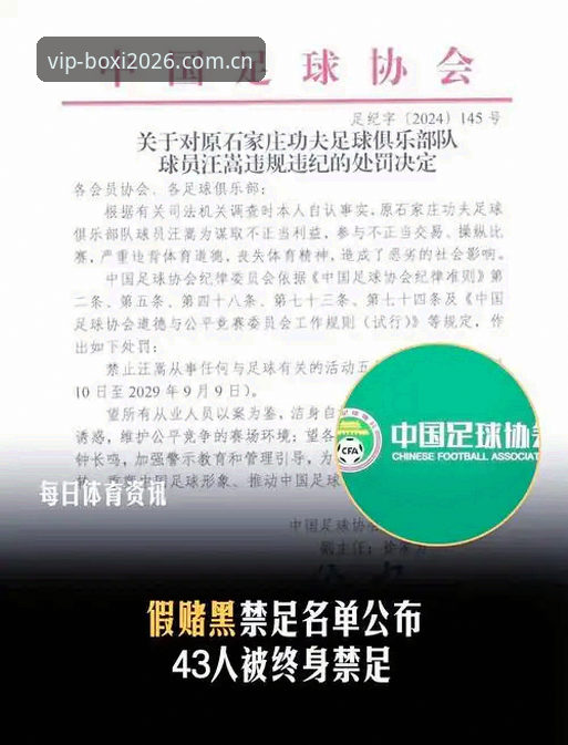 中国足协第三批禁足名单出炉——博喜体育平台深度评测与事件解读